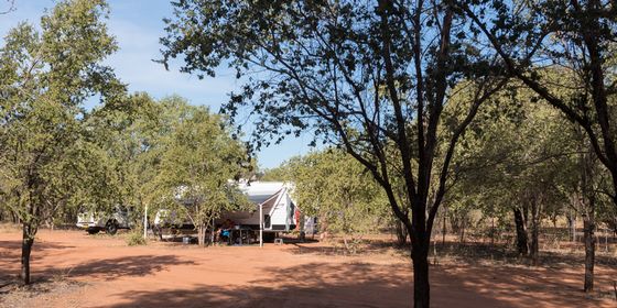 The campground at Birdwood Downs