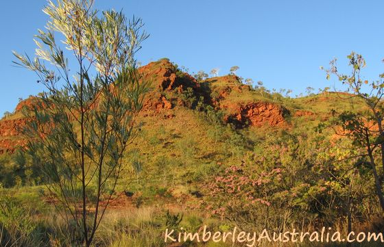 City of Ruins - Kununurra