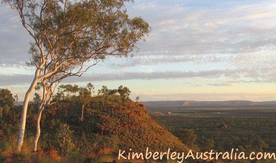 View towards Kununurra