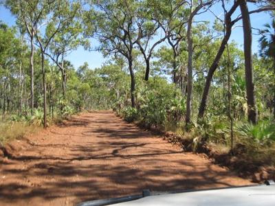 Mitchell Falls track